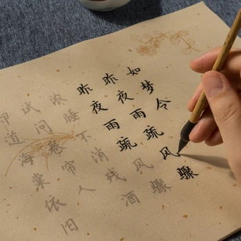 Papier Xuan Copybooks Čínsky Kaligrafický Štetec Copybook Začiatočník Malé Pravidelné Písmo Kefa Calligraphie Praxi Copybooks Obrázok