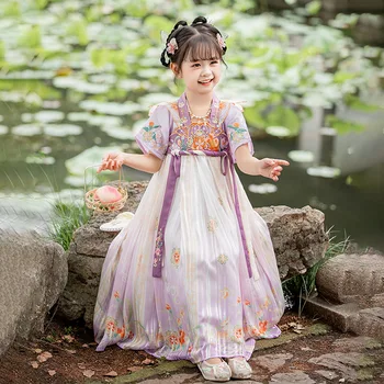 Staroveké Deti Tradičné Fialová Kvetinové Výšivky Šaty Čínske Oblečenie Dievčatá Kostým Ľudové Tanečné Predstavenie Hanfu Obrázok