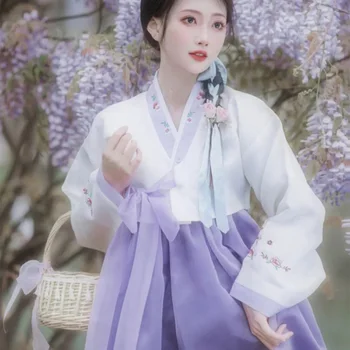 Hanbok šaty Žien je Fialová, Vyšívané kórejský Kostým Žena kórejský Palác Fotografie Cestovné Hanbok Tanečné predstavenie Kostým Obrázok