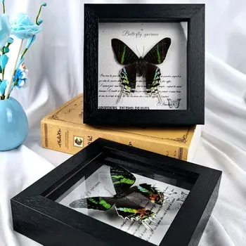 Skutočné Motýľ Vzoriek Drevené fotorámčekov Remeslá Domáce Dekorácie, Narodeniny, Svadby Valentína Dary Obrázok