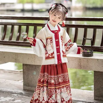 2 Farby Čínsky Hanfu pre Deti, Dievčatá, Zimné Zahustiť Dynastie Ming Kôň Tvár Sukne Lepší Nový Rok Čínskeho Sukne, Kostýmy Obrázok