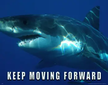 Žralok neustále v Pohybe Vpred Motivačný Umelecké Plátno Plagát na Obývacia Izba Dekorácie Steny Domov Dekor Dekoratívne Obrázok Obrázok