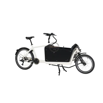 3 Kolesá Pedál Elektrické holandský Dospelých Trojkolka Cargo Bicykli Rodiny Požičovňa Deti Scooter Ulici Predajné Košík na Predaj Mieru Obrázok