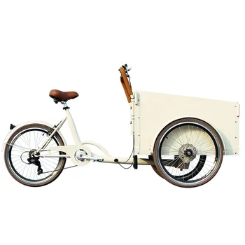250W motor LCD displayracks elektrické cargo bicykli 36V lítium batéria trojkolka e-cargo bicykli bakfiets holandský vlo nákladu pre rodiny Obrázok
