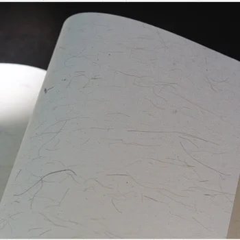 Čínsky Surové Papier Xuan Abstraktných Lingot 100sheets Rastliny Vlákniny Maľovanie ryžový Papier Začiatočník Dospelých Kaligrafie Maľovanie na Papier Xuan Obrázok