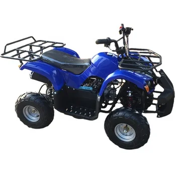 110CC 125CC Quad ATV pre Dospelých S CE Schválené ATV Obrázok